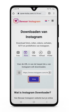 Bewaar Instagram Reels online