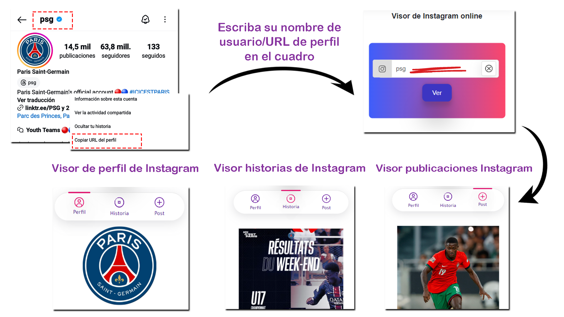 ¿Cómo ver Instagram de forma anónima en línea?
