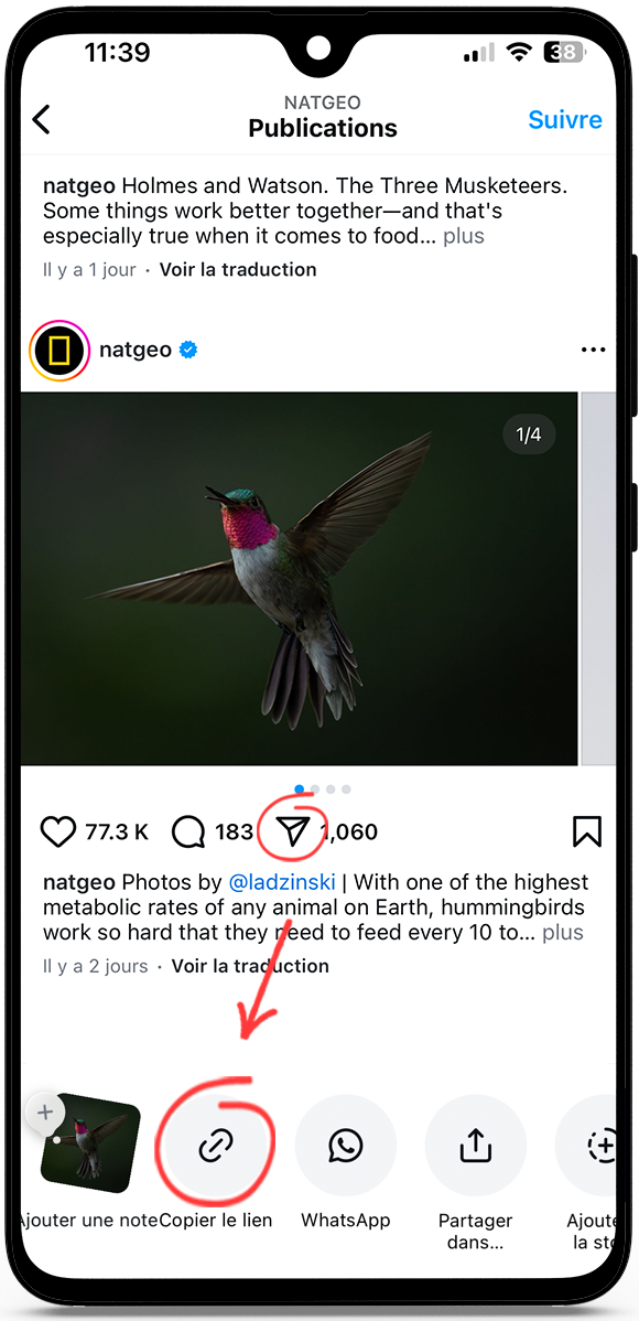 Telecharger Video Instagram