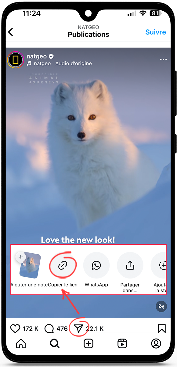 Télécharger vidéos Instagram