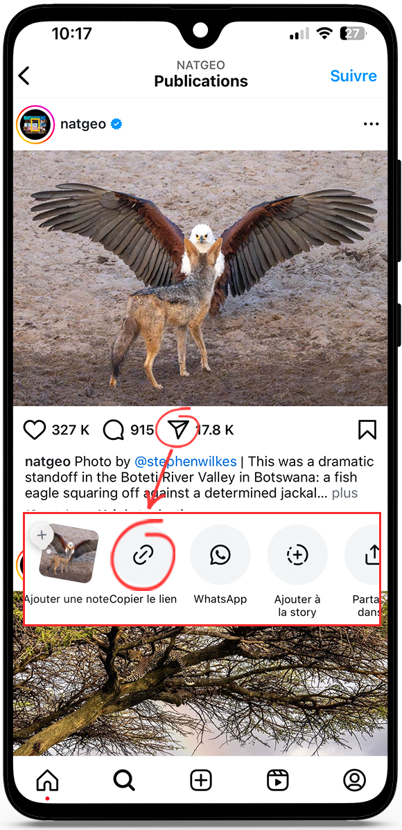 télécharger photo instagram