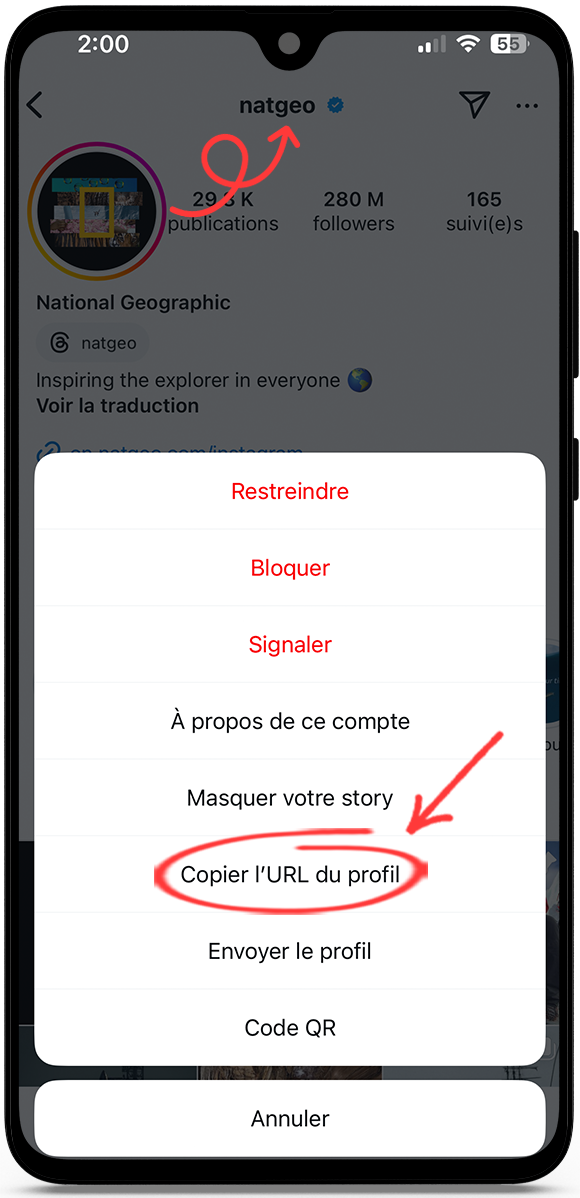 Télécharger photo instagram profil