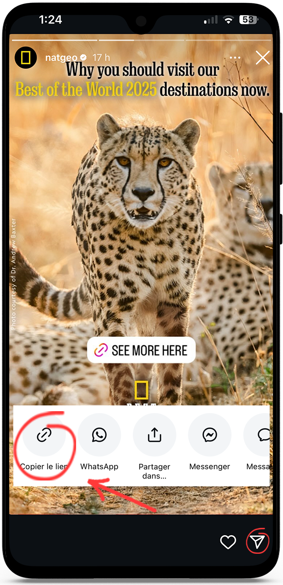 Telecharger story instagram