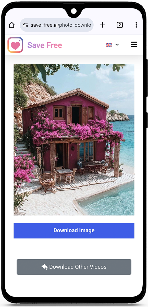 instagram photo downloader