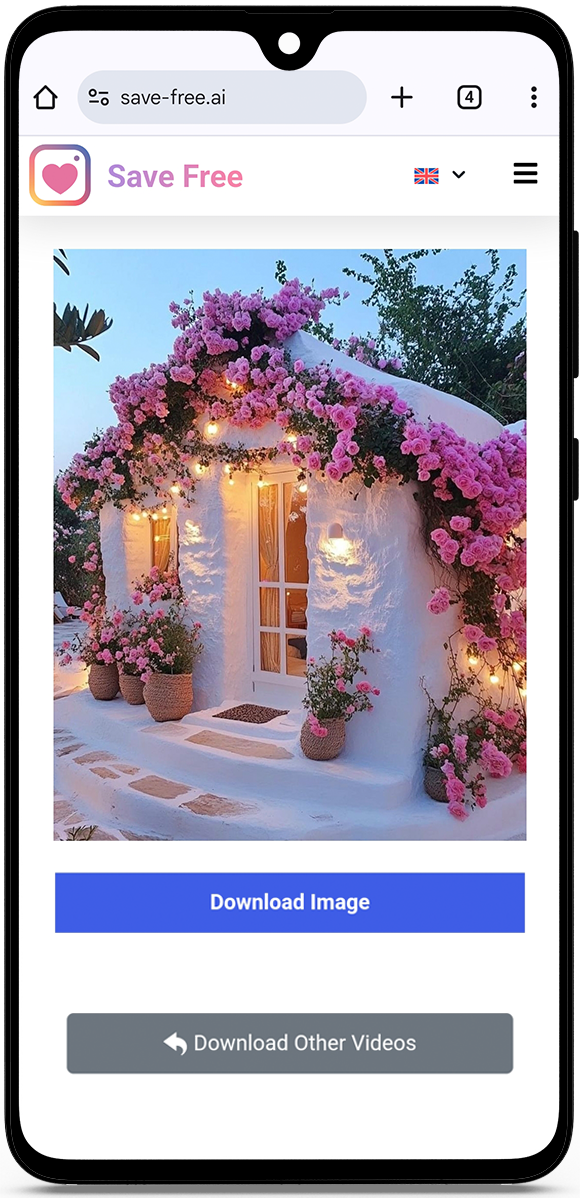 free Instagram Downloader