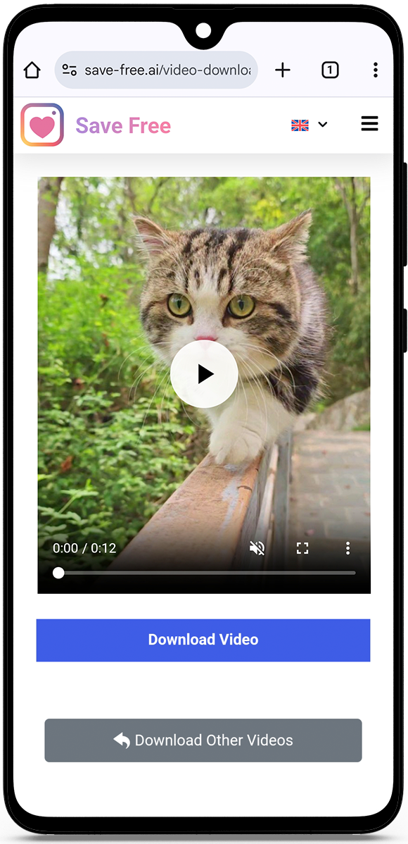 How to download Instagram video as MP4?