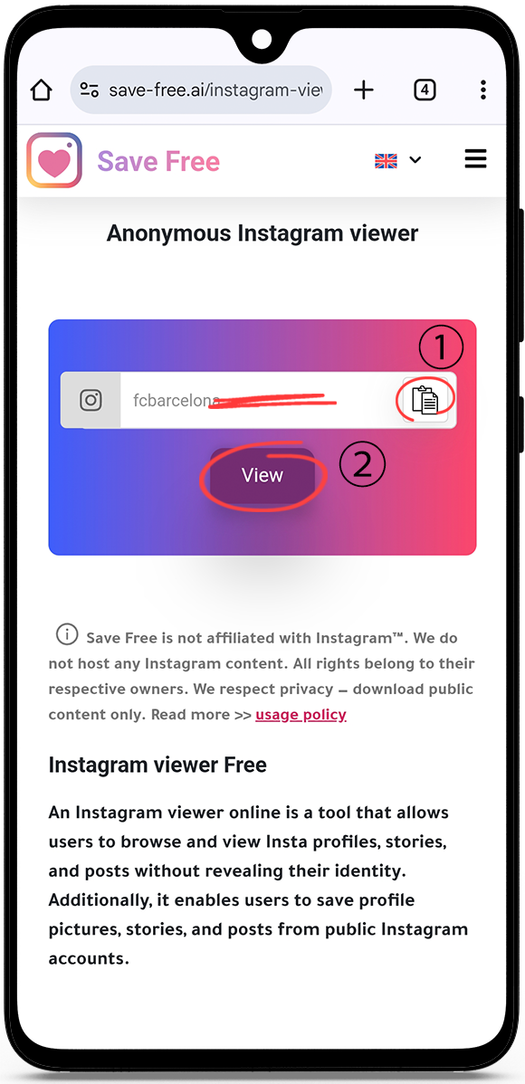 instagram account viewer