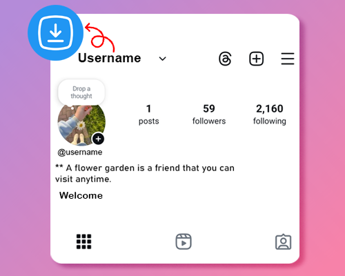 instagram profile Downloader