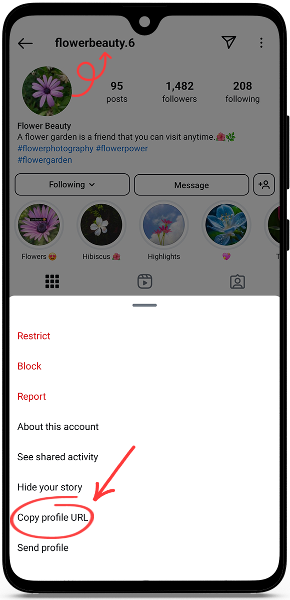 Instagram profile picture download 1080p