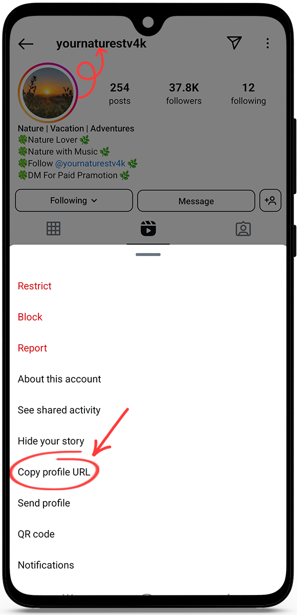 Instagram story viewer anonymous