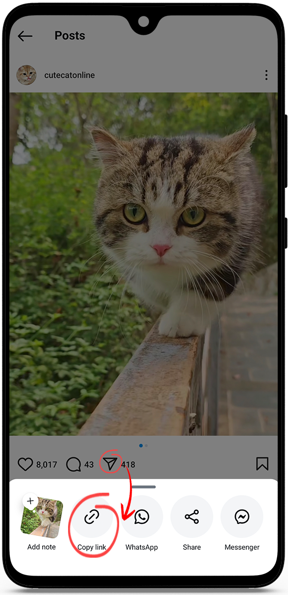 Instagram video download HD