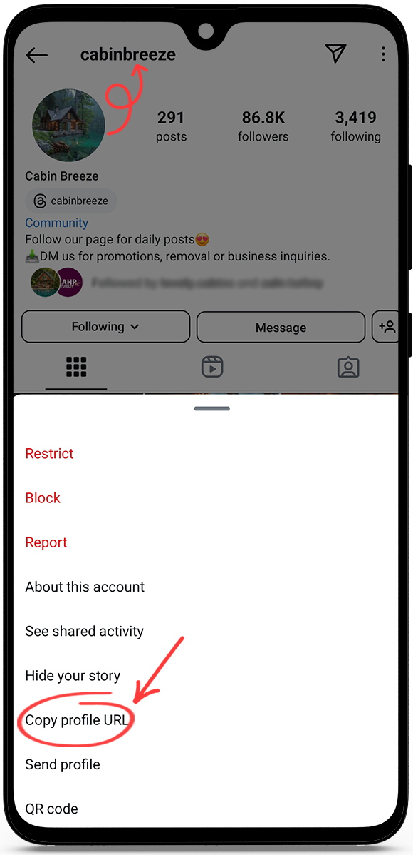 instagram viewer without account