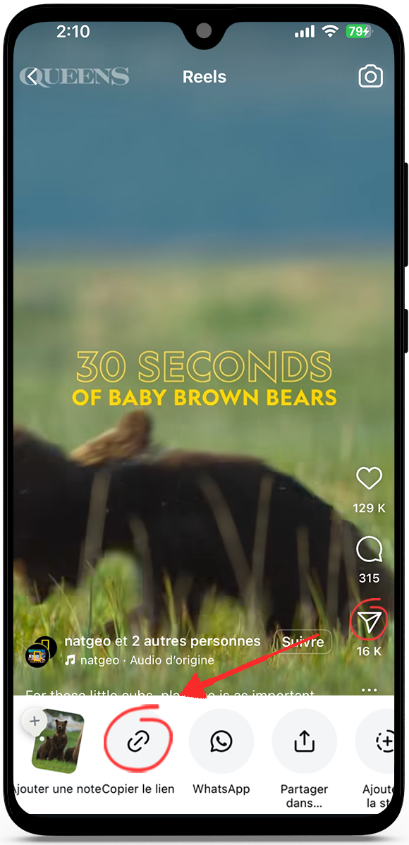 Télécharger reels Instagram