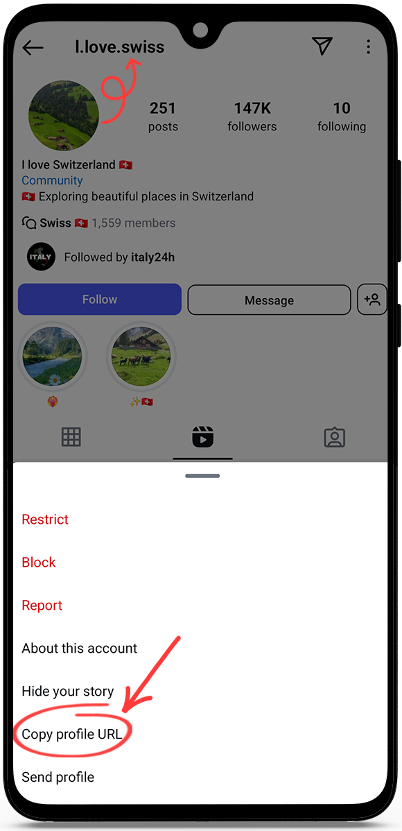 instagram profile viewer anonymous
