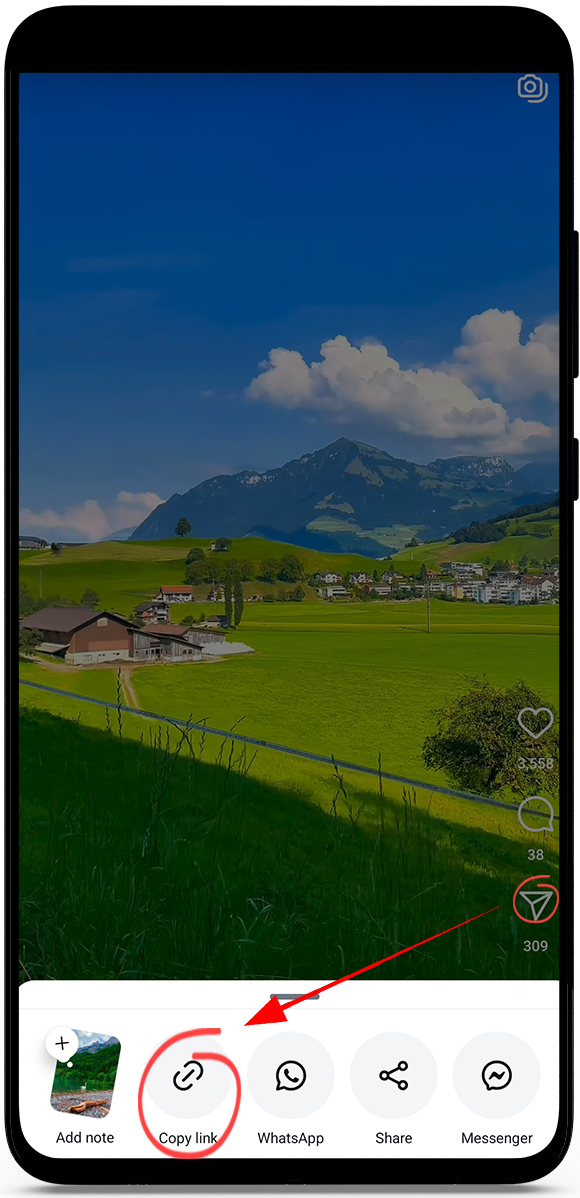 Instagram Reels video downloader
