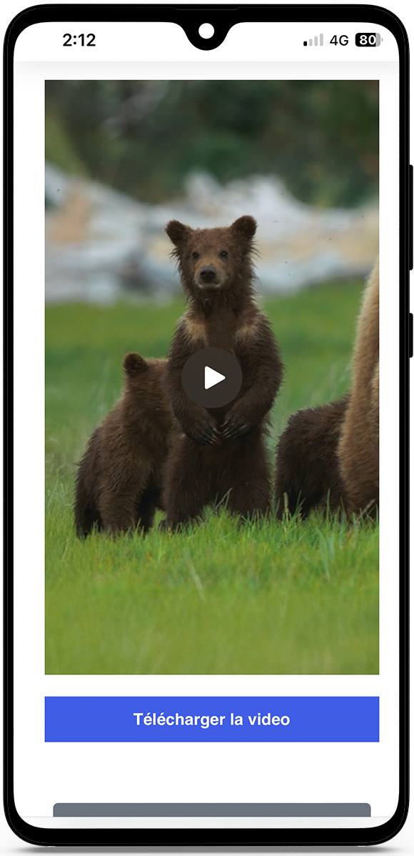 Télécharger reels Instagram