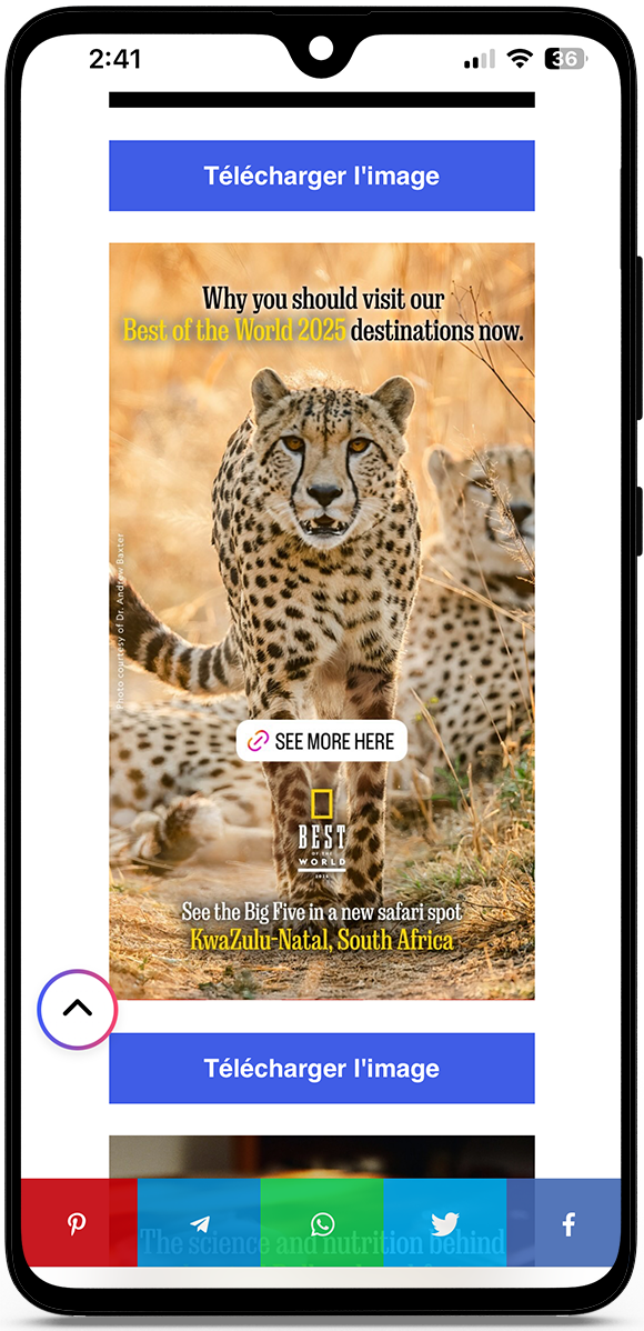 Telecharger story instagram