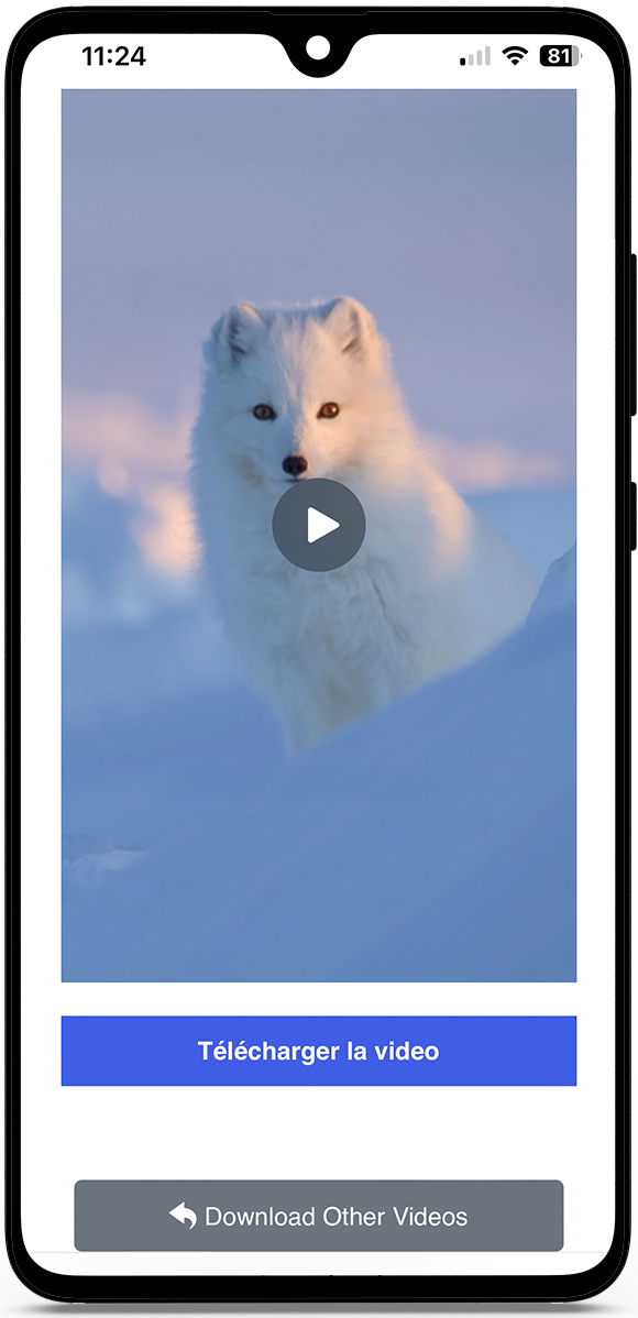 Télécharger vidéos Instagram