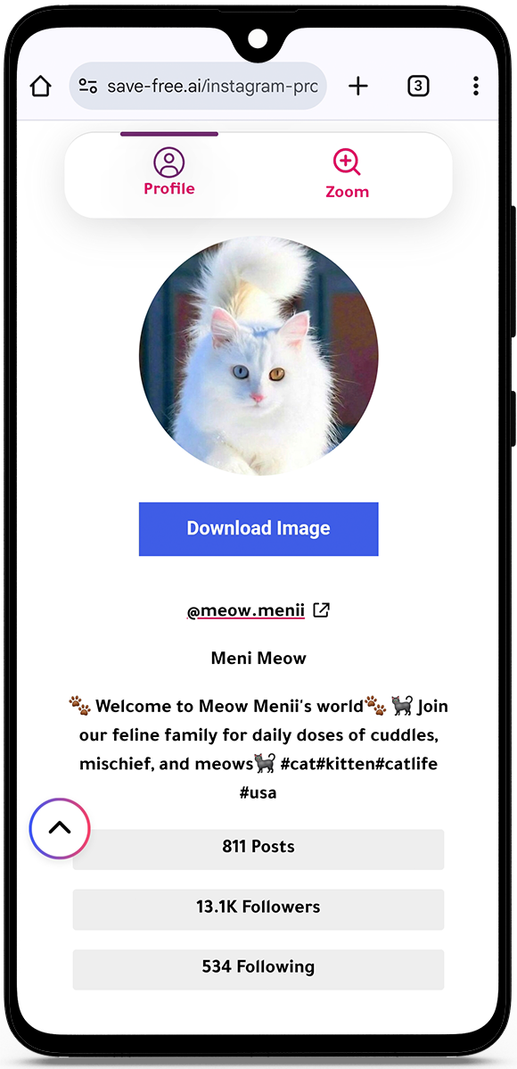 watch Instagram profiles anonymously