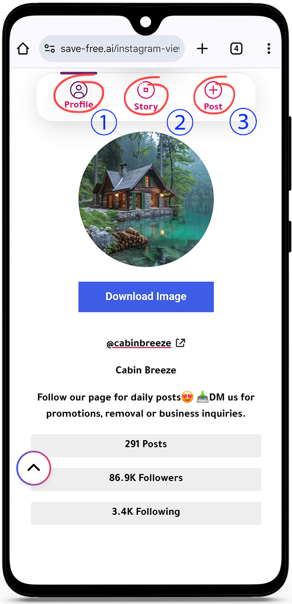 How do you watch Instagram anonymously?