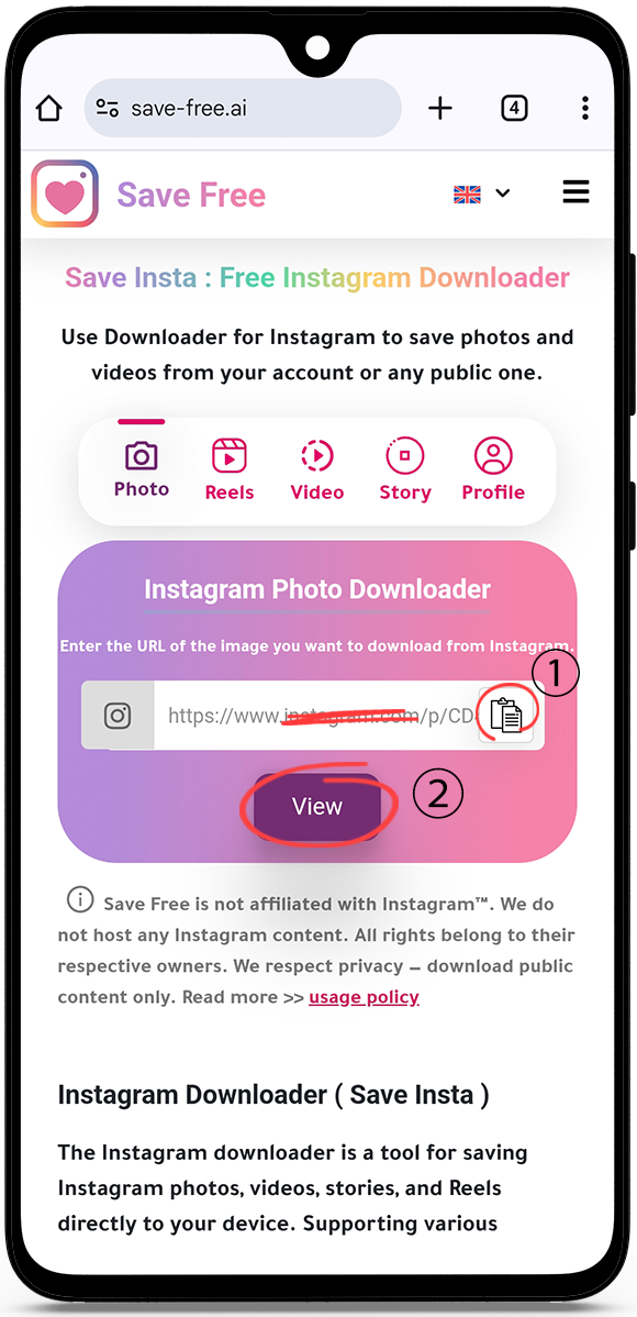 What is the most popular Instagram downloader?
