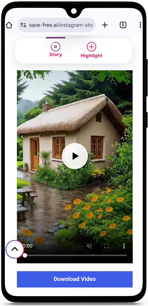 How to anonymously see Instagram stories?