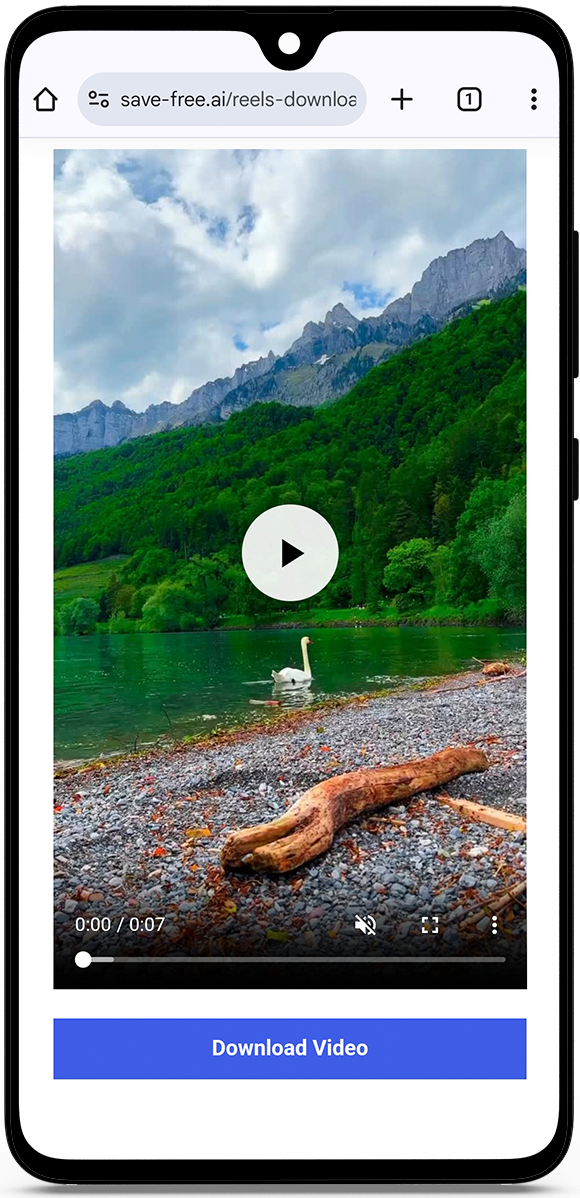 How to download video from Instagram reels?
