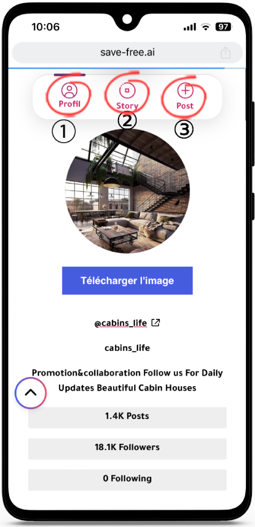 Visionneuse Instagram Anonyme
