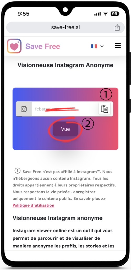 Visionneuse Instagram Anonyme
