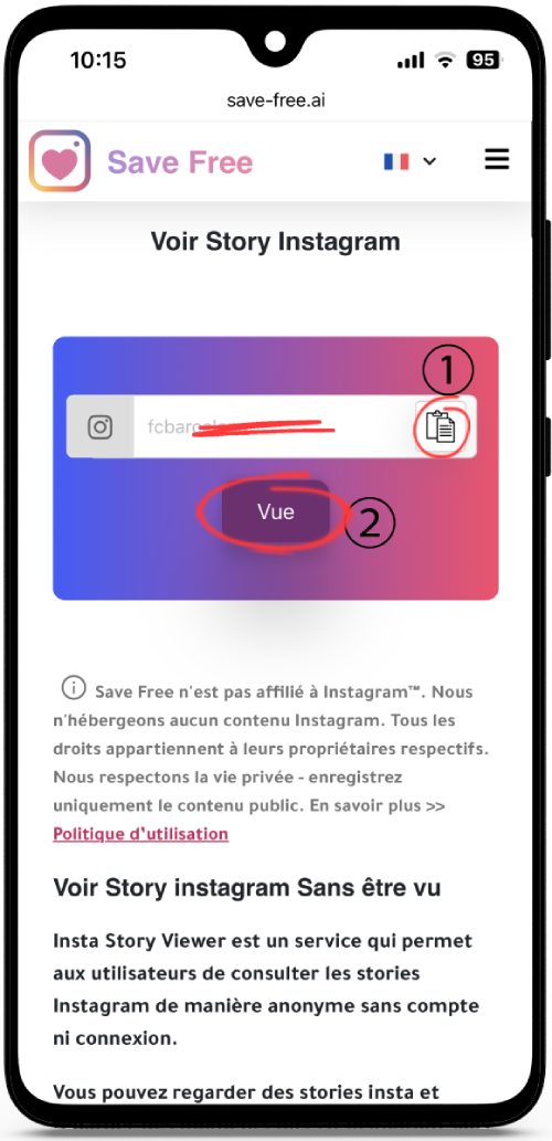 Voir Story Instagram