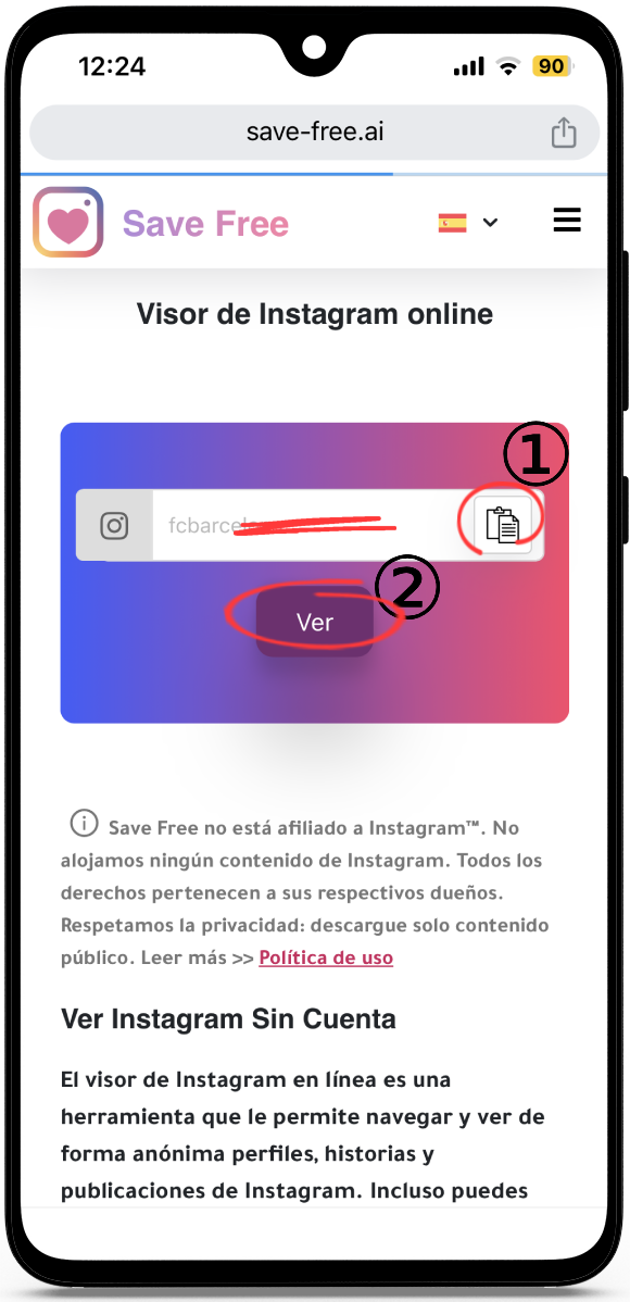Visor de Instagram online
