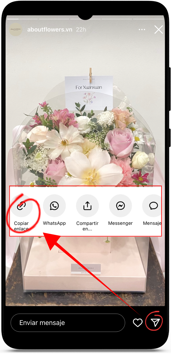 Ver la historia de Instagram sin ser visto