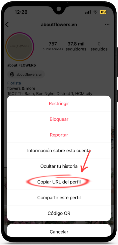 Ver Historias de Instagram
