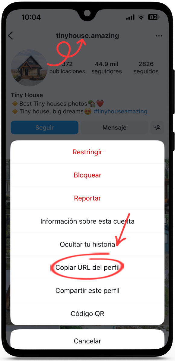 descargar foto de perfil instagram
