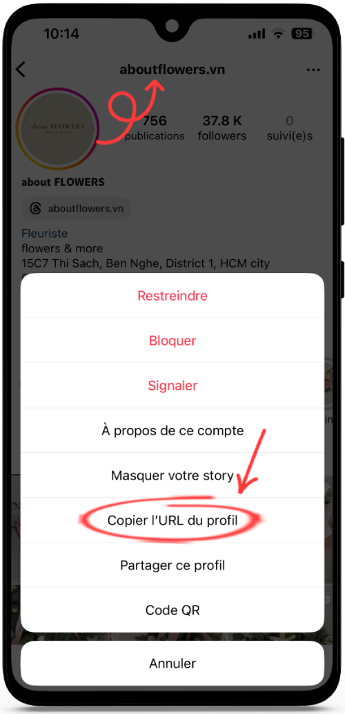 Voir Story Instagram