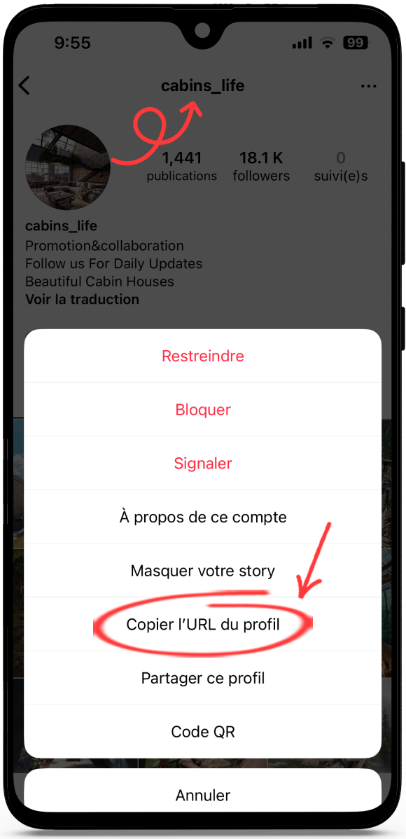 Visionneuse Instagram Anonyme
