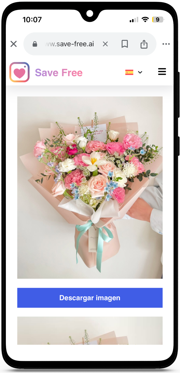 Descargar de Instagram Gratis