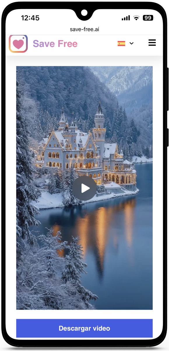 Descargar Videos de Instagram online
