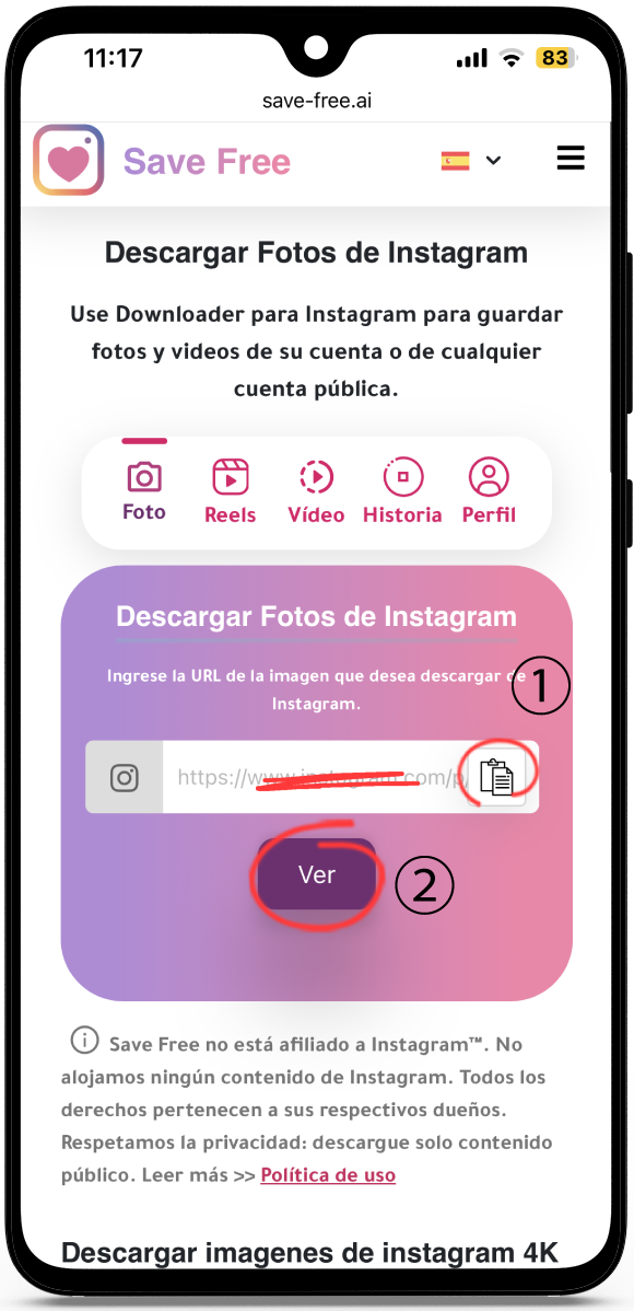 Descargar Fotos de Instagram