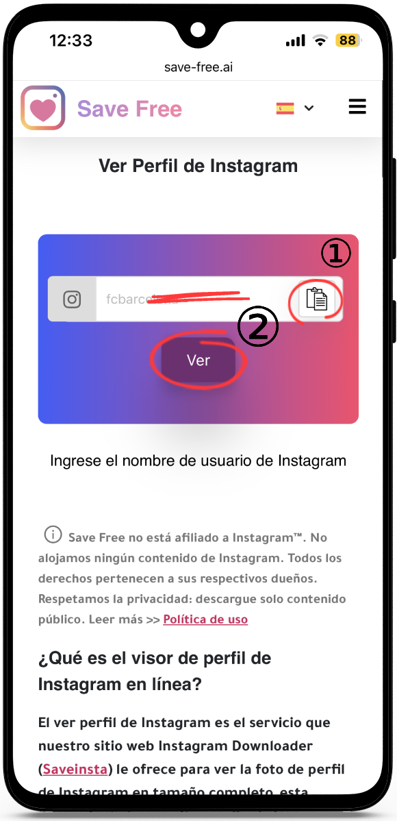 Ver Perfil de Instagram