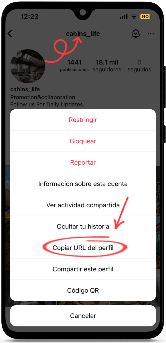 Visor de Instagram online