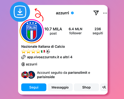 Scarica DP di Instagram
