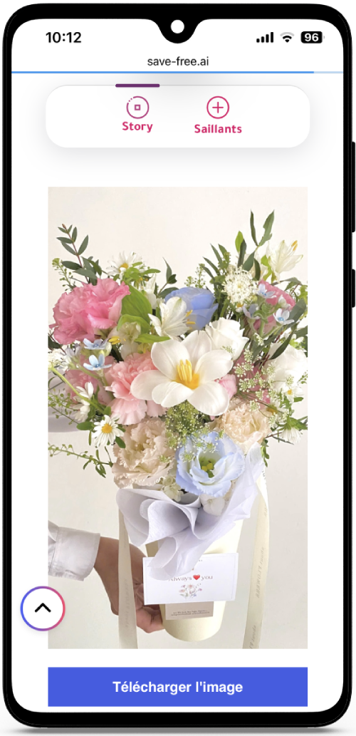 Voir Story Instagram