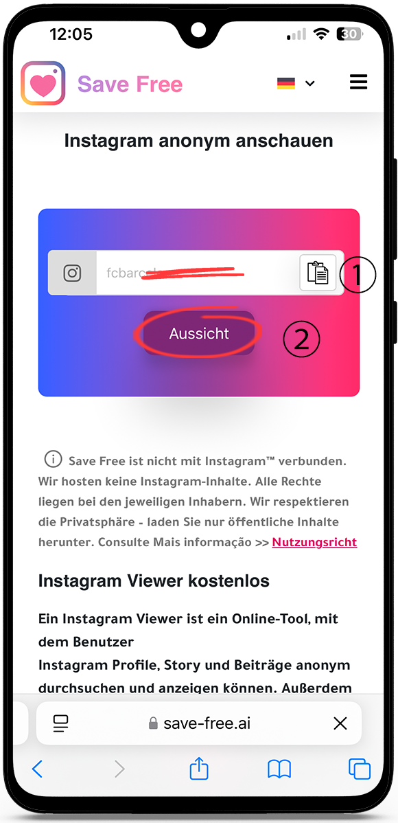 instagram viewer anonym