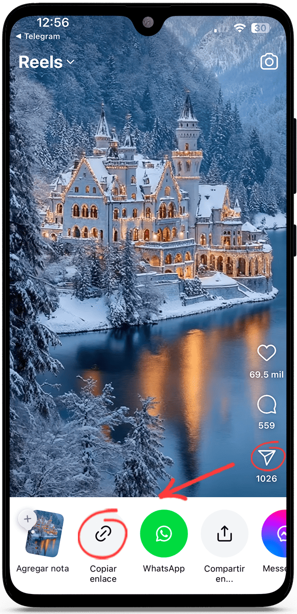 Descargar Videos de Instagram online