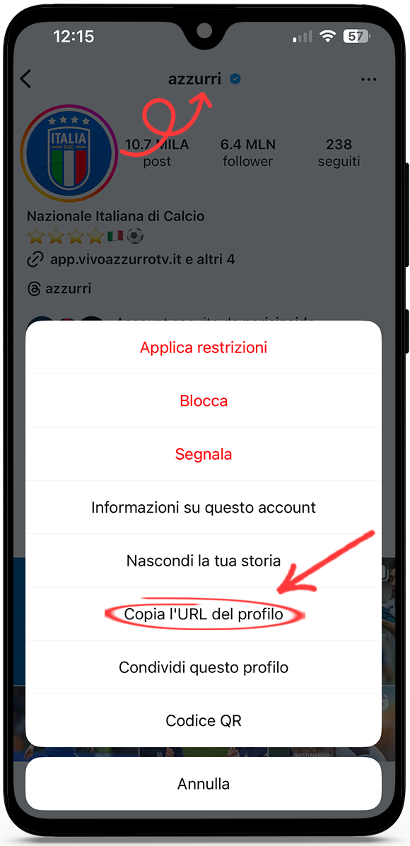 Zoom foto profilo Instagram online