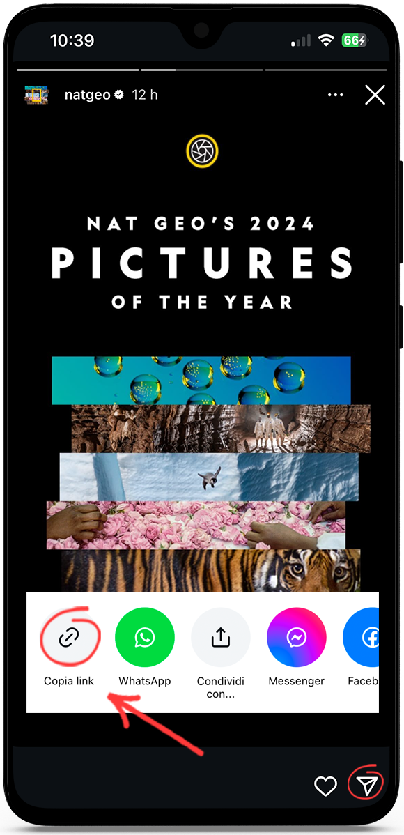 Scarica storie Instagram anonimo