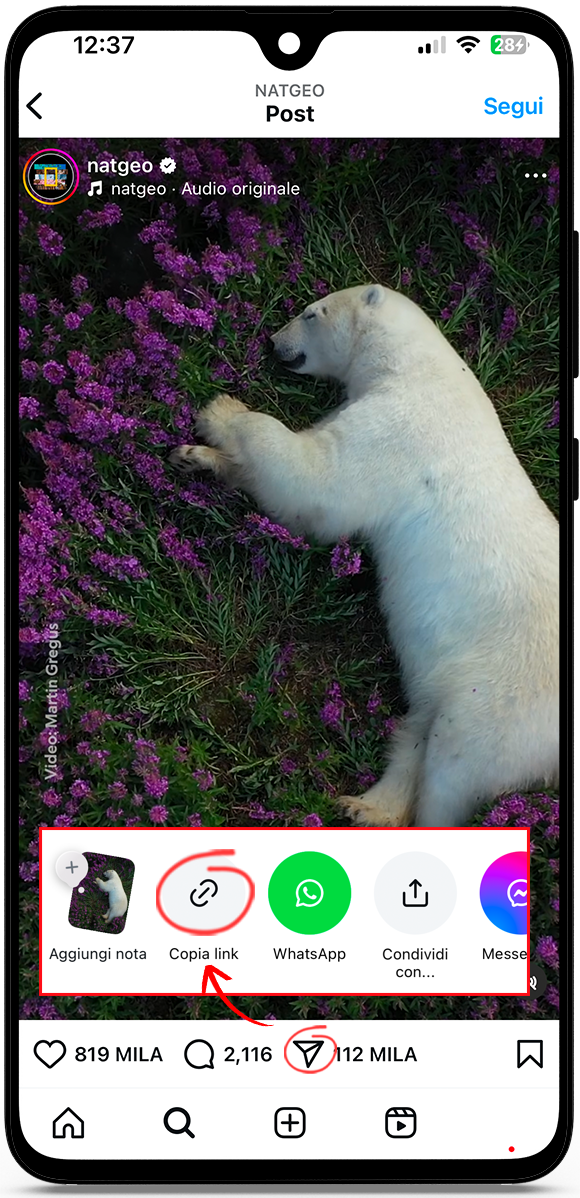 Scaricare video da Instagram
