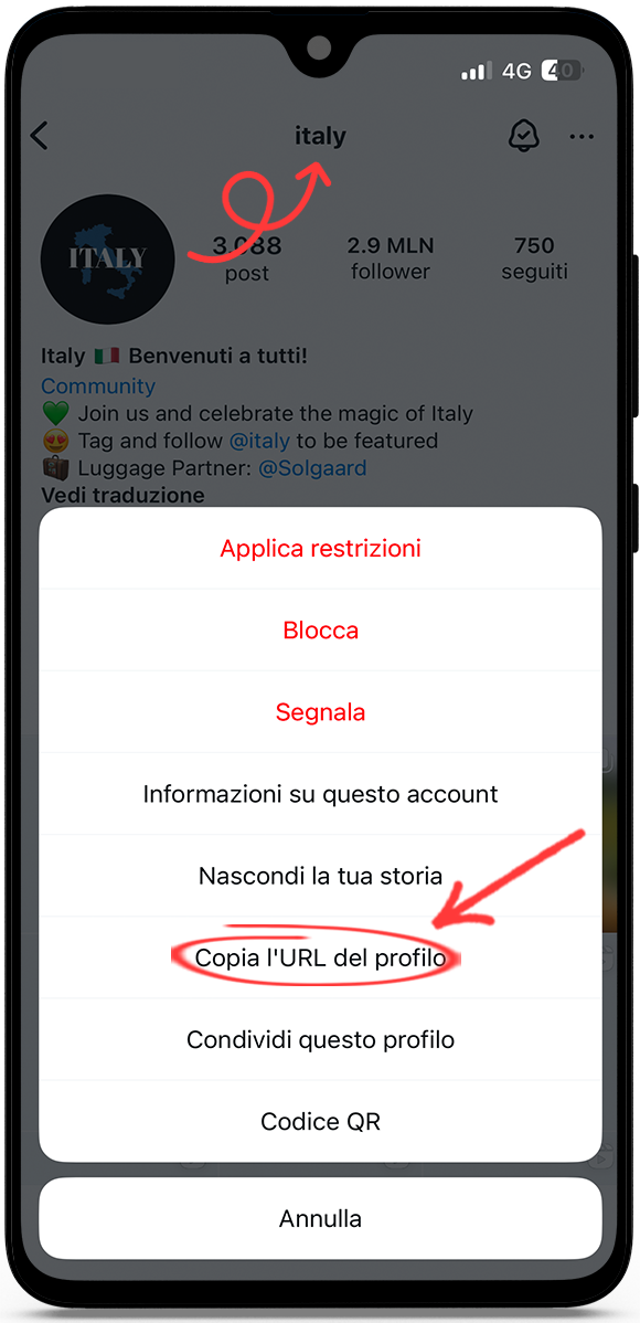 Vedere profilo Instagram in anonimo
