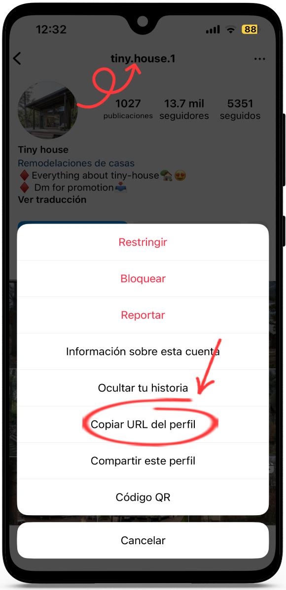 Ver Perfil de Instagram